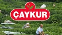 ÇAYKUR 1500 İŞÇİ ALIMI KURA ÇEKİMİ: ÇAYKUR işçi alımı kura ne zaman? ÇAYKUR 1500 işçi alımı sonuçları isim listesi ne zaman belli olacak?