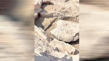 Asur’un ‘büyükleri’ bulundu