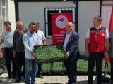 Bahçede Çiftçilere Destek: 118 Bin Domates Fidesi Dağıtıldı
