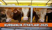 Küçükbaş, Büyükbaş, Kurbanlık fiyatları 2025 ne kadar? Küçükbaş ve Büyükbaş kurbanlık fiyatı kaç TL? Vekaletle kurban kesim bedeli yurt içi, yurt dışı kaç para?
