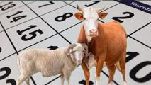 2025 KURBAN BAYRAMI TATİLİ GÜNLERİ | Bayram tatili ne zaman başlayacak/bitecek? Bayram tatili 4,5 gün mü, 9 güne çıkarılır mı?