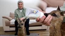 Elleriyle besliyor, çocuğu gibi bakıyor! ‘Anne sütü ısısına gelene kadar bekletiyorum’
