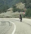Yola inen ayı kamerada