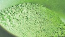 Matcha çılgınlığı