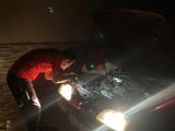 Otomobil Motorunda Sıkışan Yavru Kedi Kurtarıldı