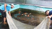 Akvaryum merakıyla başladı! 50 dönüm alanda kurdu: Bu sektörü kimse bilmiyor