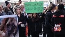 Bursa’da hayvan hakları için eylem düzenlendi