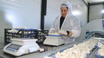 Devlet desteğiyle başladığı işte 60 ton üretim yapıyor: 'Bulunmaz bir nimet'