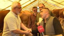 Bahçelievler kurban pazarında sıkı pazarlık: Abim bizi terleterek baya yordu