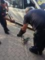 Park halindeki minibüsün motor kısmına giren yılanı itfaiyeciler çıkarıldı