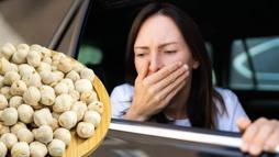 Her tanesi 'beyaz altın' değerinde! Kanda ne varsa temizliyor, riskleri sıfıra indiriyor