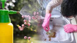 İngilizlerin borudaki tıkanıklığı açan böceksavarı! Kasımda sıcak su ve deterjan yeterli