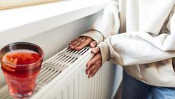 Kaloriferler boğazı kupkuru ediyor! Bu doğal karışımı koyun, tarçın işi çözecek