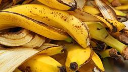 Toprak, ahşap fark etmiyor... Kabuğunu çöpe atmayın! Her alanda faydalıymış