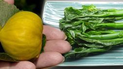 Bitmeyen halsizliğin sebebi buymuş! Kurusu yaşından daha çok demir içeriyor