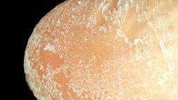 Ayaklardaki çatlaklara birebir! 3 basit ürünle pürüzsüz oluyor