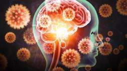 Yarasalardan bulaşan ölümcül virüse karşı uyarı!