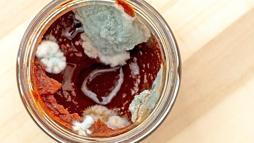 Domates salçası bu yöntemle küflenmiyor! Can suyu zeytinyağındaymış, havaya temas etmiyor