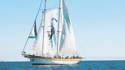 The Bodrum Cup’ta zafer Gara Poşet’in!