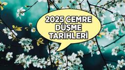 Baharın müjdecisi Cemre düşme tarihleri 2025 🌼 İlk cemre havaya ne zaman düşecek? Cemre nedir, ne anlama gelmektedir?