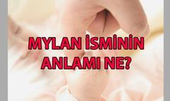 Mylan isminin anlamı ne, kökeni ne? Mylan ne demek? Melisa Aslı Pamuk ve Yusuf Yazıcı'nın çocuğunun ismi