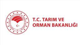 TARIM VE ORMAN BAKANLIĞI 8500 PERSONEL ALIMI 2025 BAŞVURU: Tarım ve Orman Bakanlığı personel alımı başvuru tarihleri ne zaman, şartları neler?