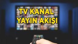 TV KANAL YAYIN AKIŞI 14 NİSAN! Bu akşam TV'de hangi dizi ve programlar var? Kanal D, TRT 1, Star TV, Show TV, ATV, TV8, NOW TV kanal yayın akışı listesi...