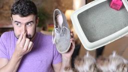 Ayakkabısına kedi kumu serpti, sonuç inanılmazdı! 'Sıfır koku' formülü
