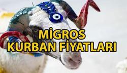 MİGROS KURBAN ÜCRETİ 2O25 🐮 Migros Kurbanlık fiyatları ne kadar? Küçükbaş ve büyükbaş kurbanlık fiyatları