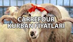 CARREFOUR KURBAN FİYATLARI 2025 🐮 Carrefoursa kurbanlık fiyatları ne kadar? Carrefour büyükbaş ve küçükbaş kurbanlık fiyatları listesi