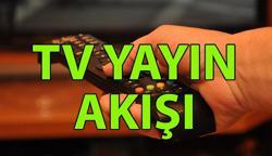 YAYIN AKIŞI 17 HAZİRAN SALI 📺 Bu akşam TV'de ne var? Kanal D, Show TV, Star TV, TV8, TRT 1, ATV, NOW yayın akışı listesi