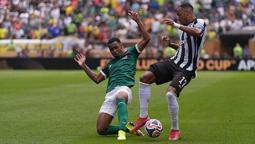 Palmeiras - Botafogo maçından kareler