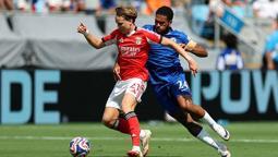 Benfica - Chelsea maçından kareler