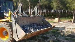Şanlıurfa’da kuş ölümleri halkı tedirgin ediyor