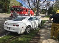 Ünlü oyuncunun oğlu tutuklandı