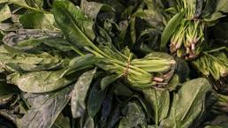 'Ispanağı sık sık ısıtarak yemeyin'