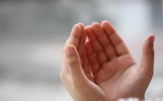 Karınca Duası Okunuşu ve Anlamı: Karınca Duası Arapça Okunuşu, Türkçe Anlamı ve Faziletleri