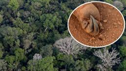 Son dakika... Dikkat! Fotoğraflar rahatsız edici olabilir... Yürek dağladı!