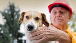 Depremde evcil dostlarımız için neler yapabiliriz?