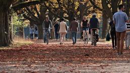 Yürüyüş Yapmanın Faydaları Nelerdir? Her Gün Düzenli Yürümek Sağlığınızı Nasıl Etkiler?