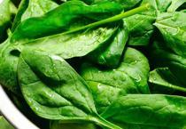 Ispanak Zehirler Mi? Ispanak Zehirlenmesi Neden Olur, Belirtileri Nelerdir?