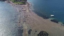 Bodrum'da kral yolu yeniden ortaya çıktı