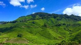 2021’de arsa yatırımları nerelere yapılmalı?