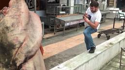 Barajda 130 kilogramlık yayın balığı yakalandı