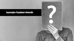Ispanağın Faydaları Nelerdir? Ispanak Suyu Neye İyi Gelir?