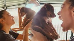 Biran Damla Yılmaz'dan örnek davranış