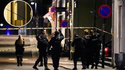 Son dakika haberler... Avrupa'nın göbeğinde ok ve yayla katliam! Can havliyle kaçıştılar