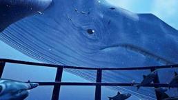 PubG'den etkilenip cinayet işleyen çocuk yüzünden neden oyun suçlanıyor?