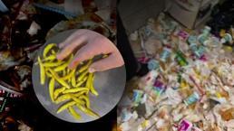 Tantunicide skandal görüntü! Çöpten toplayıp müşteriye yedirdi