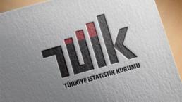 Son dakika: TÜİK Başkanlığına Erhan Çetinkaya atandı
